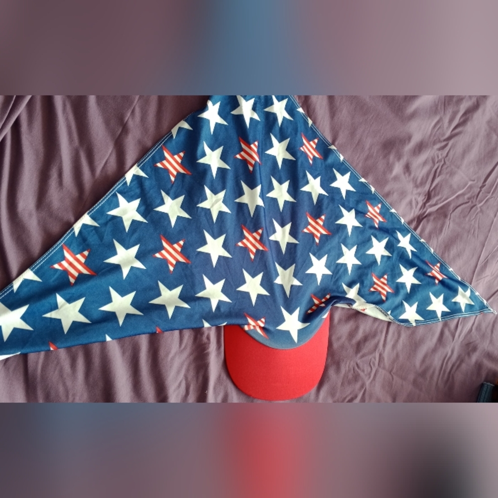 Blue and White Star Cap with Red Brim
